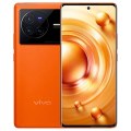 Vivo X80