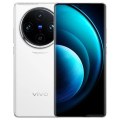 Vivo X100 Pro